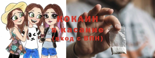 винт Верея