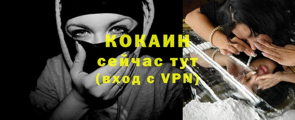 амф Верхний Тагил