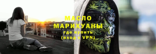 амф Верхний Тагил