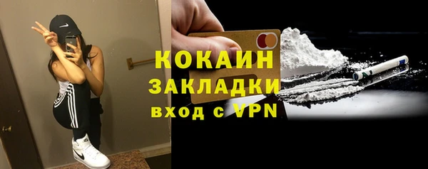 винт Верея