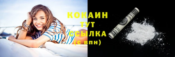амф Верхний Тагил
