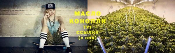 амф Верхний Тагил