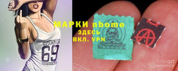 амф Верхний Тагил